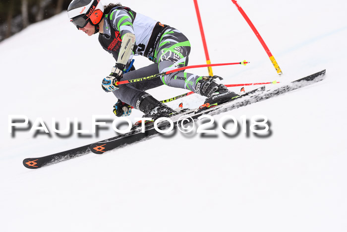 Int. FIS Rennen Damen, RS, Maria Alm 09.01.2018