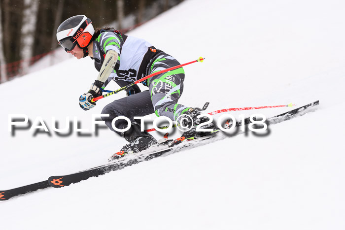 Int. FIS Rennen Damen, RS, Maria Alm 09.01.2018