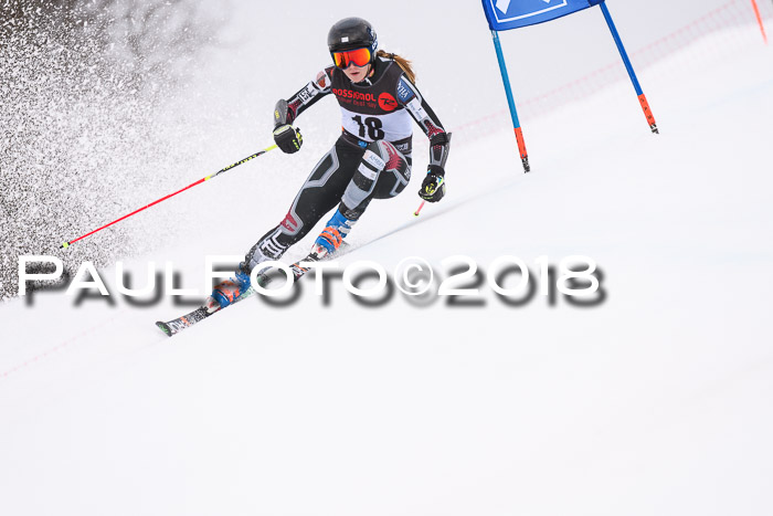 Int. FIS Rennen Damen, RS, Maria Alm 09.01.2018