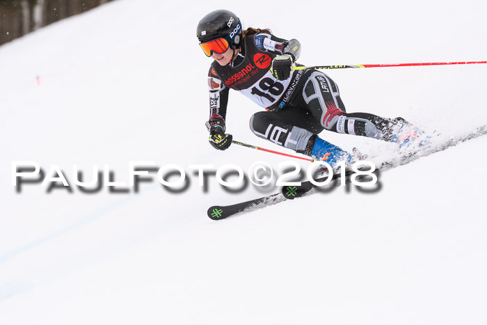 Int. FIS Rennen Damen, RS, Maria Alm 09.01.2018