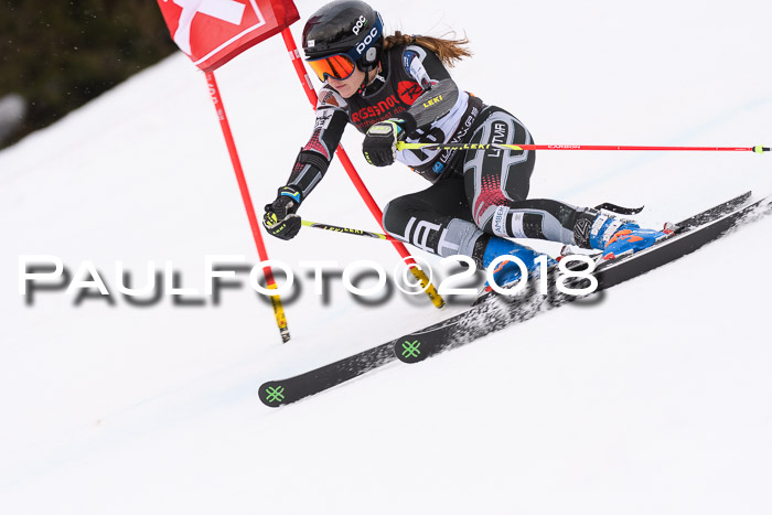 Int. FIS Rennen Damen, RS, Maria Alm 09.01.2018