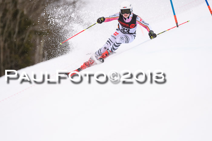 Int. FIS Rennen Damen, RS, Maria Alm 09.01.2018