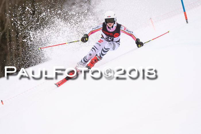 Int. FIS Rennen Damen, RS, Maria Alm 09.01.2018