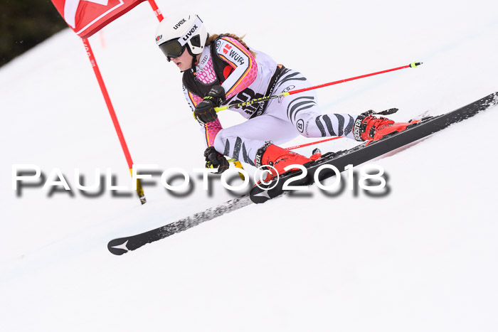 Int. FIS Rennen Damen, RS, Maria Alm 09.01.2018