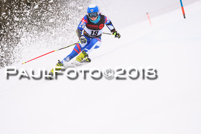Int. FIS Rennen Damen, RS, Maria Alm 09.01.2018