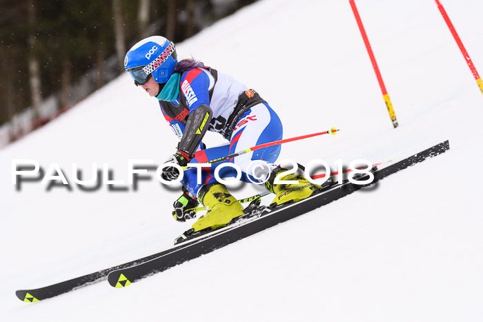 Int. FIS Rennen Damen, RS, Maria Alm 09.01.2018