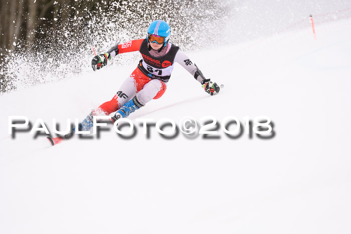 Int. FIS Rennen Damen, RS, Maria Alm 09.01.2018