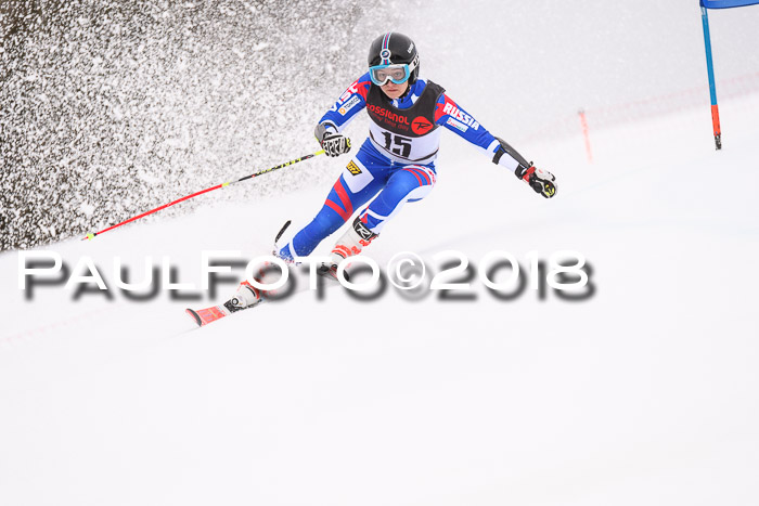 Int. FIS Rennen Damen, RS, Maria Alm 09.01.2018