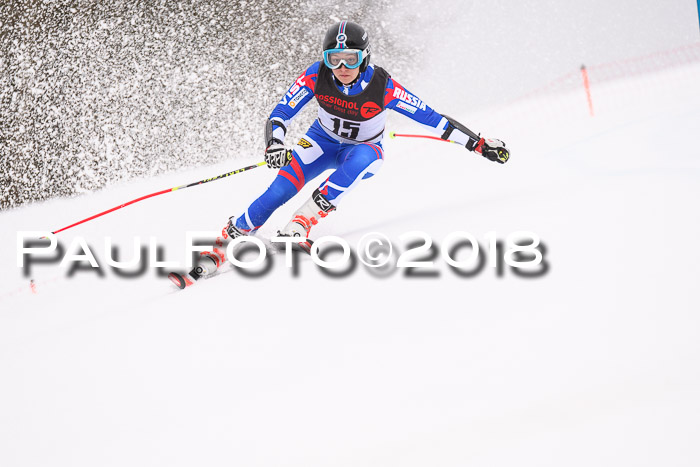 Int. FIS Rennen Damen, RS, Maria Alm 09.01.2018