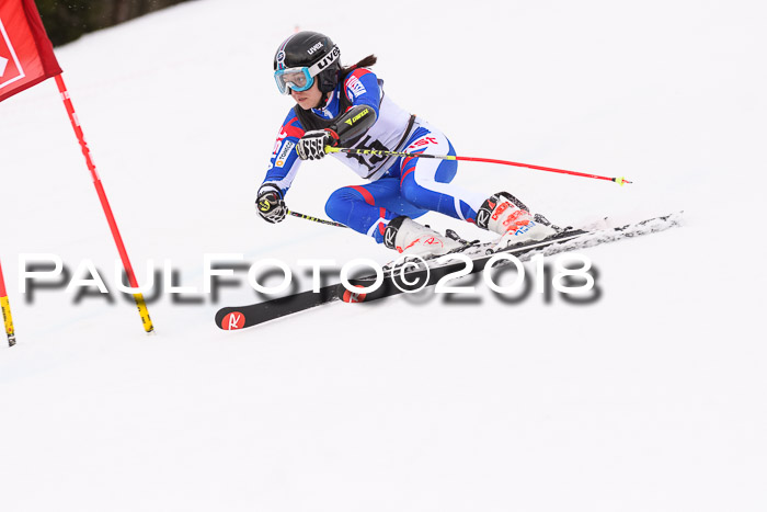Int. FIS Rennen Damen, RS, Maria Alm 09.01.2018