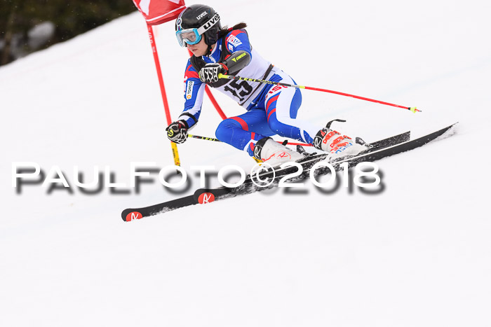Int. FIS Rennen Damen, RS, Maria Alm 09.01.2018