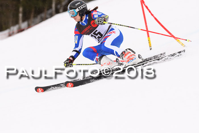 Int. FIS Rennen Damen, RS, Maria Alm 09.01.2018