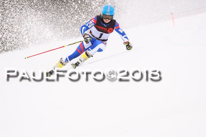 Int. FIS Rennen Damen, RS, Maria Alm 09.01.2018