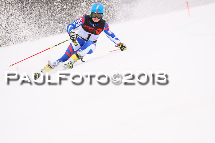 Int. FIS Rennen Damen, RS, Maria Alm 09.01.2018