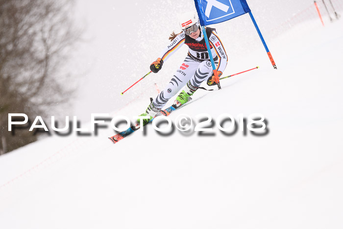 Int. FIS Rennen Damen, RS, Maria Alm 09.01.2018