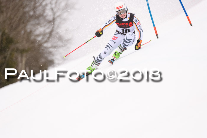 Int. FIS Rennen Damen, RS, Maria Alm 09.01.2018