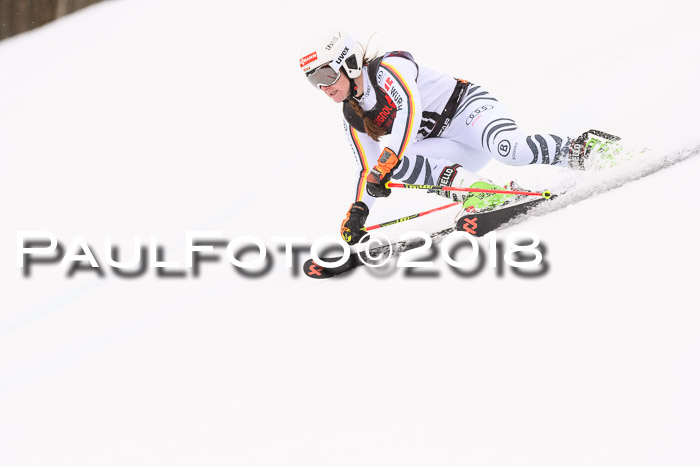 Int. FIS Rennen Damen, RS, Maria Alm 09.01.2018