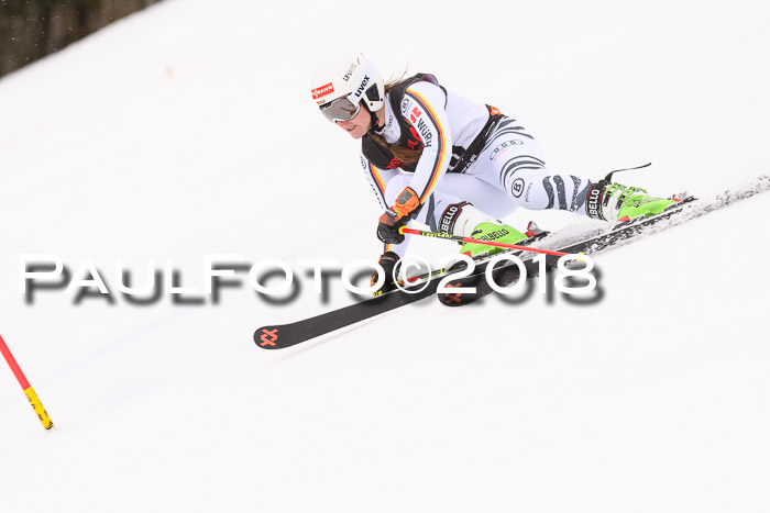 Int. FIS Rennen Damen, RS, Maria Alm 09.01.2018
