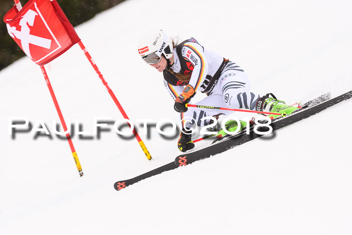 Int. FIS Rennen Damen, RS, Maria Alm 09.01.2018