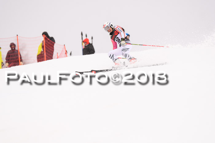 Int. FIS Rennen Damen, RS, Maria Alm 09.01.2018