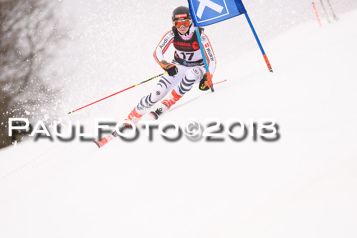 Int. FIS Rennen Damen, RS, Maria Alm 09.01.2018