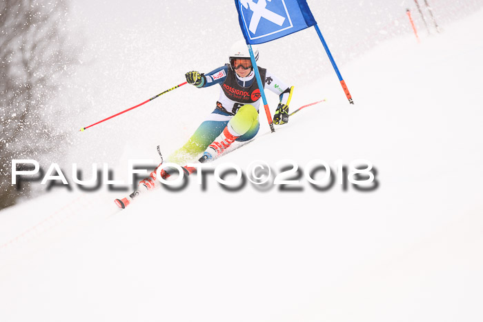Int. FIS Rennen Damen, RS, Maria Alm 09.01.2018
