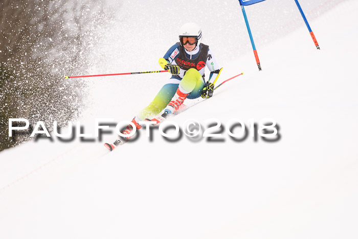 Int. FIS Rennen Damen, RS, Maria Alm 09.01.2018