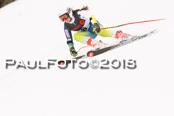 Int. FIS Rennen Damen, RS, Maria Alm 09.01.2018