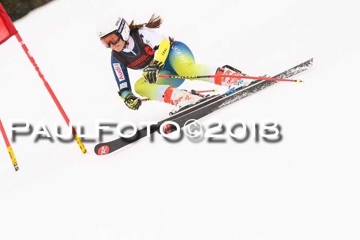Int. FIS Rennen Damen, RS, Maria Alm 09.01.2018