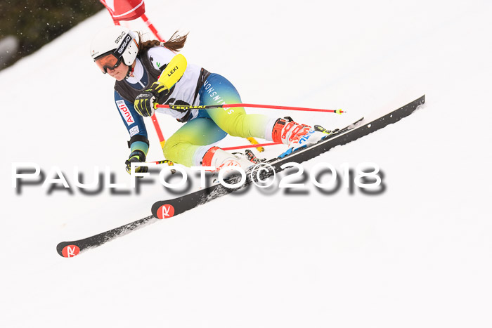 Int. FIS Rennen Damen, RS, Maria Alm 09.01.2018