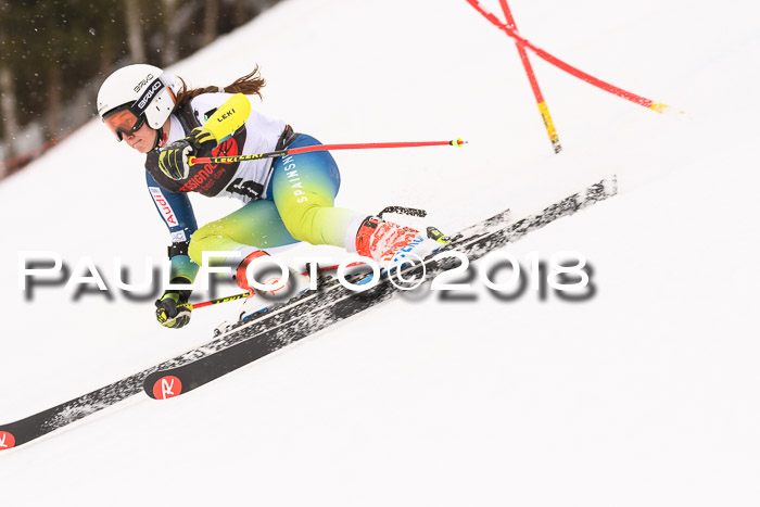 Int. FIS Rennen Damen, RS, Maria Alm 09.01.2018