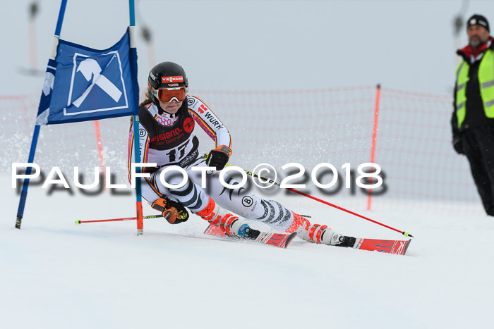 Int. FIS Rennen Damen, RS, Maria Alm 09.01.2018