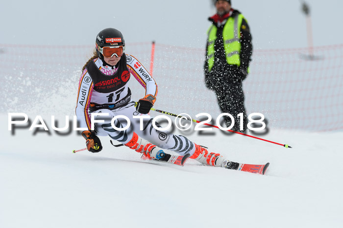 Int. FIS Rennen Damen, RS, Maria Alm 09.01.2018