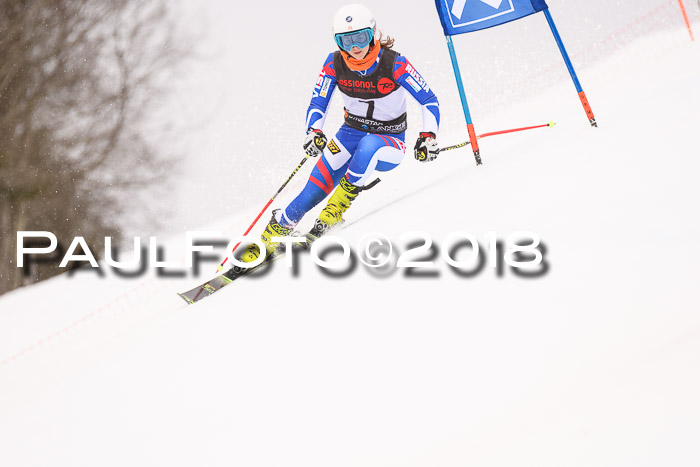 Int. FIS Rennen Damen, RS, Maria Alm 09.01.2018