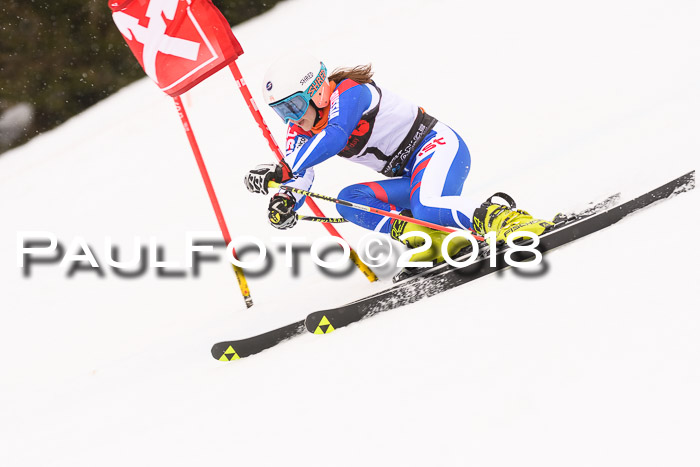 Int. FIS Rennen Damen, RS, Maria Alm 09.01.2018