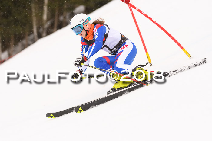 Int. FIS Rennen Damen, RS, Maria Alm 09.01.2018