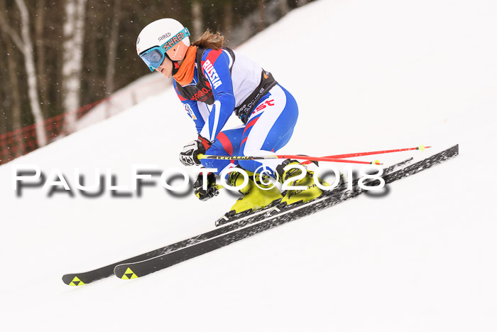 Int. FIS Rennen Damen, RS, Maria Alm 09.01.2018