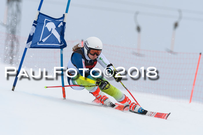 Int. FIS Rennen Damen, RS, Maria Alm 09.01.2018