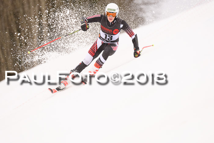 Int. FIS Rennen Damen, RS, Maria Alm 09.01.2018