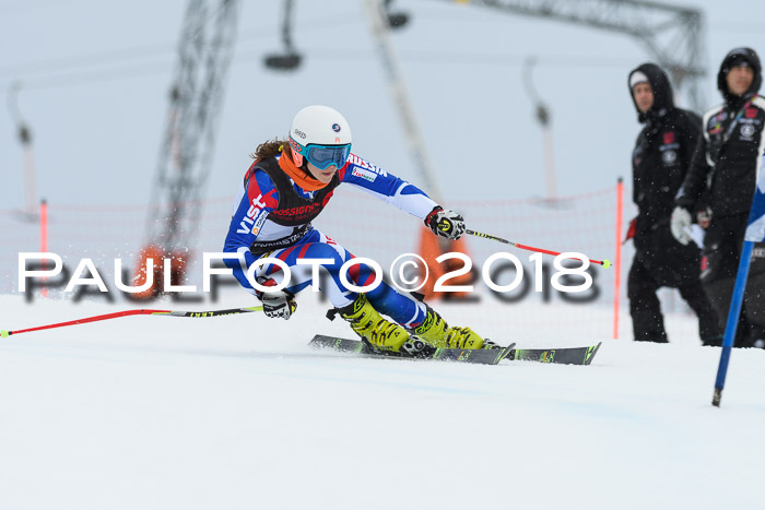 Int. FIS Rennen Damen, RS, Maria Alm 09.01.2018