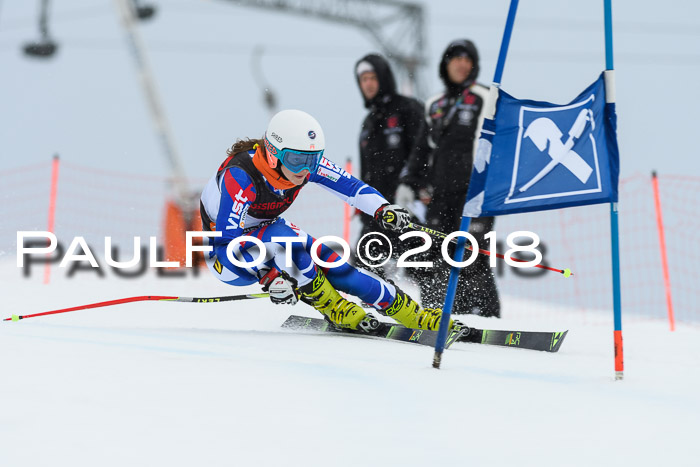 Int. FIS Rennen Damen, RS, Maria Alm 09.01.2018