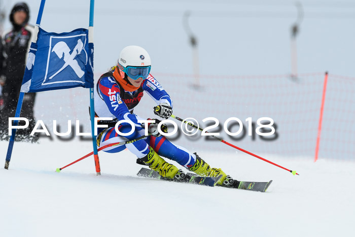 Int. FIS Rennen Damen, RS, Maria Alm 09.01.2018