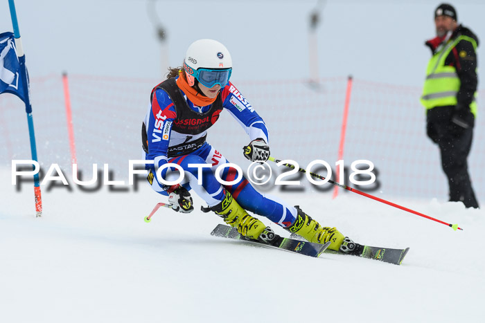 Int. FIS Rennen Damen, RS, Maria Alm 09.01.2018