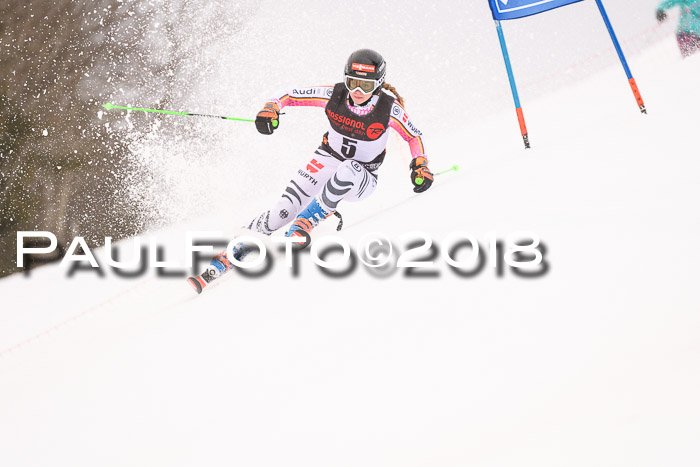 Int. FIS Rennen Damen, RS, Maria Alm 09.01.2018