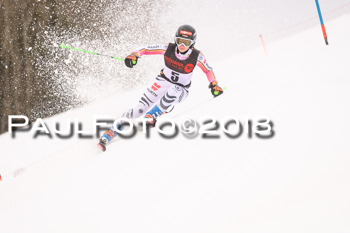 Int. FIS Rennen Damen, RS, Maria Alm 09.01.2018