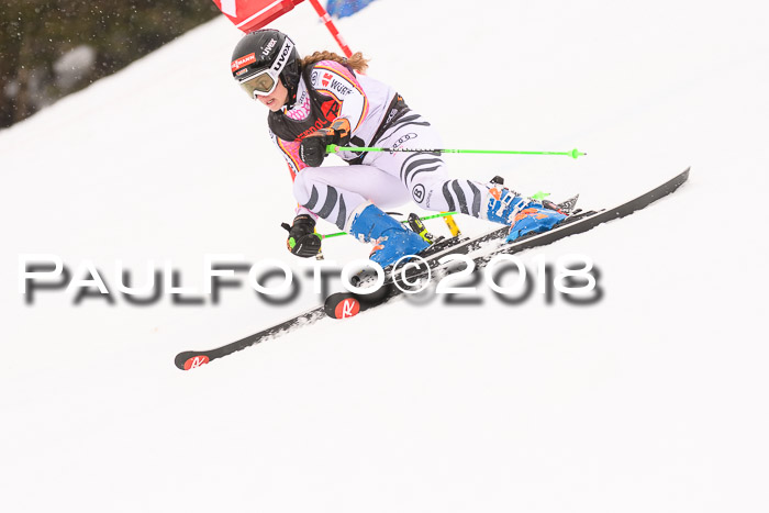 Int. FIS Rennen Damen, RS, Maria Alm 09.01.2018
