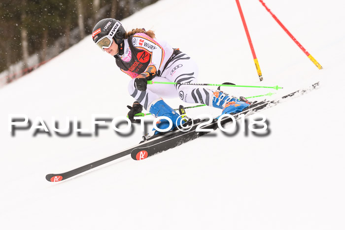Int. FIS Rennen Damen, RS, Maria Alm 09.01.2018