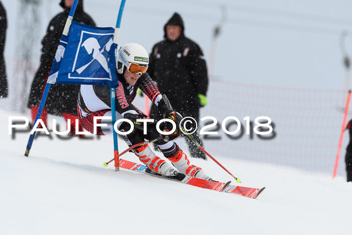 Int. FIS Rennen Damen, RS, Maria Alm 09.01.2018