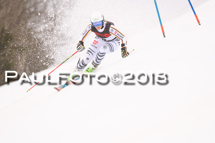 Int. FIS Rennen Damen, RS, Maria Alm 09.01.2018
