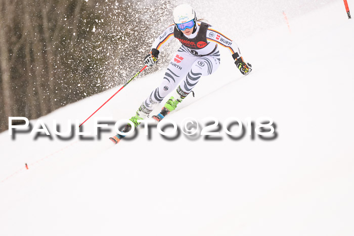 Int. FIS Rennen Damen, RS, Maria Alm 09.01.2018